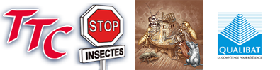 TTC Stop Insectes Corse